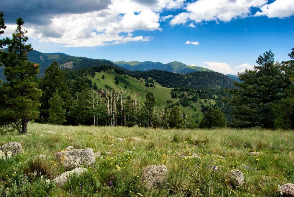 Country Cabin, 2 Bedrooms, Fireplace, Midtown, Sleeps 6 Ruidoso Exteriör bild